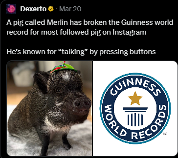 Dexerto