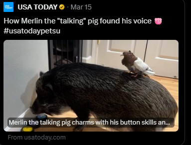 USA Today